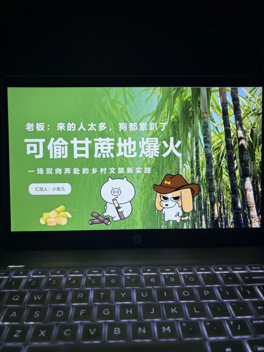 可偷甘蔗地爆火事件ppt，时事热点