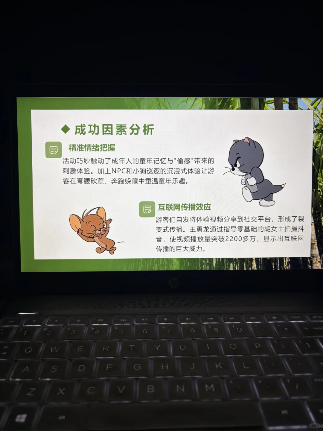 可偷甘蔗地爆火事件ppt，时事热点