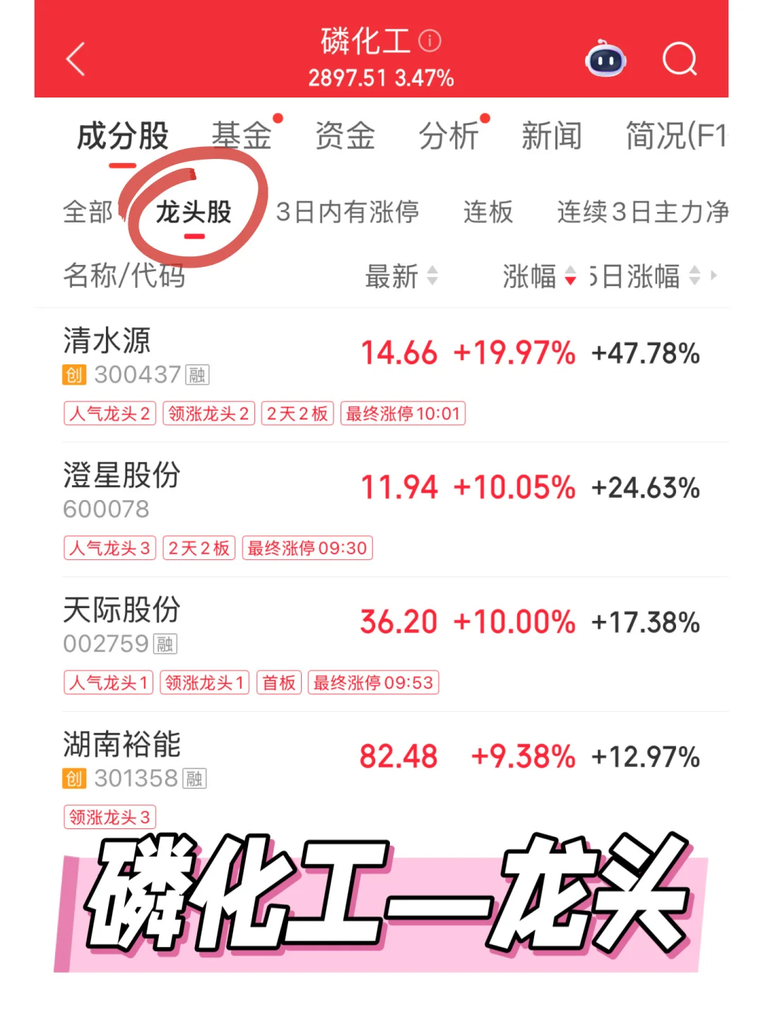 作业本：磷化工龙头股