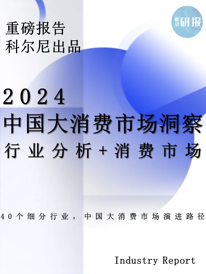 中国大消费市场洞察:行业分析+消费市场