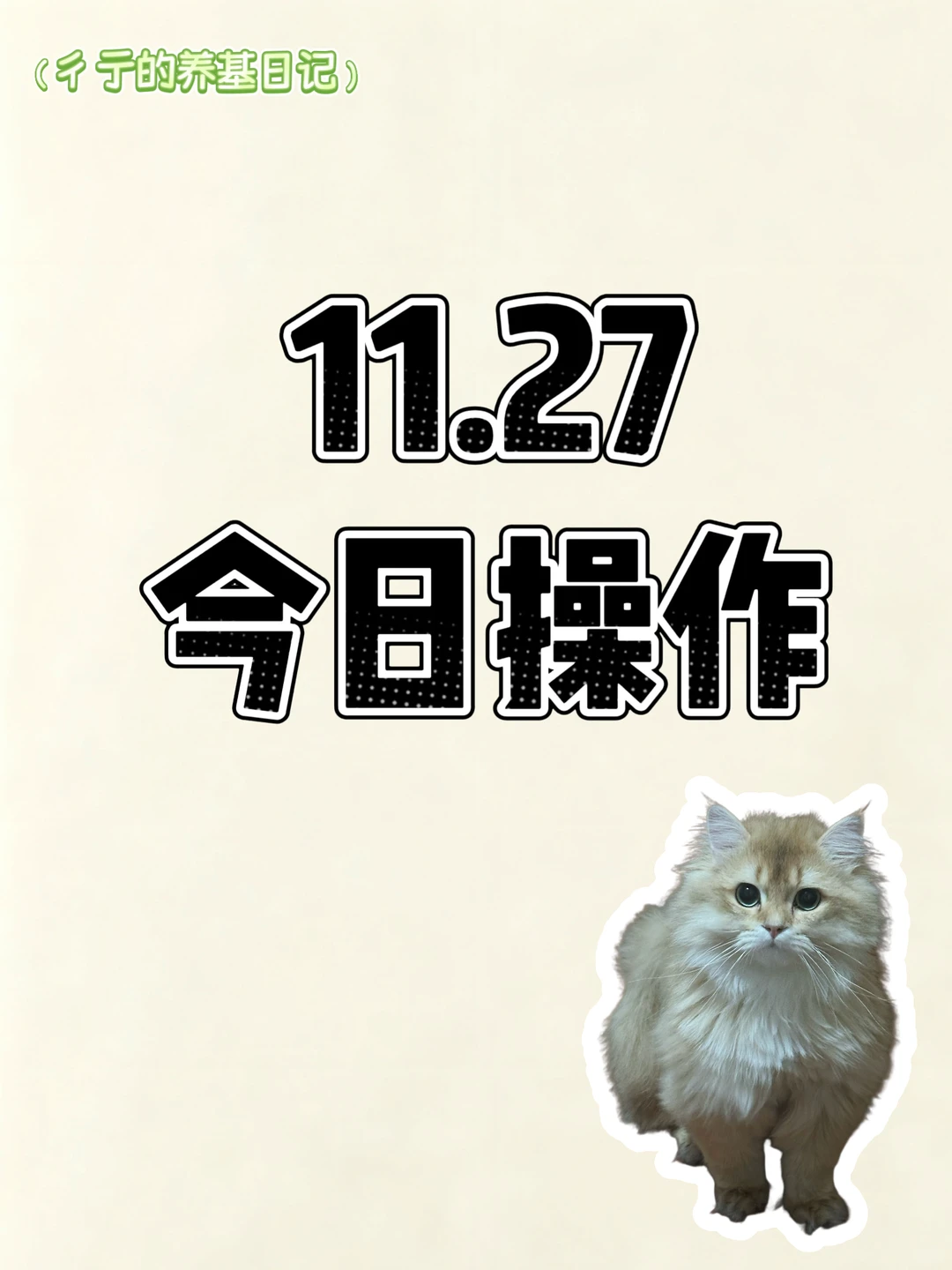 11.27！今日操作！新布局两个板块！