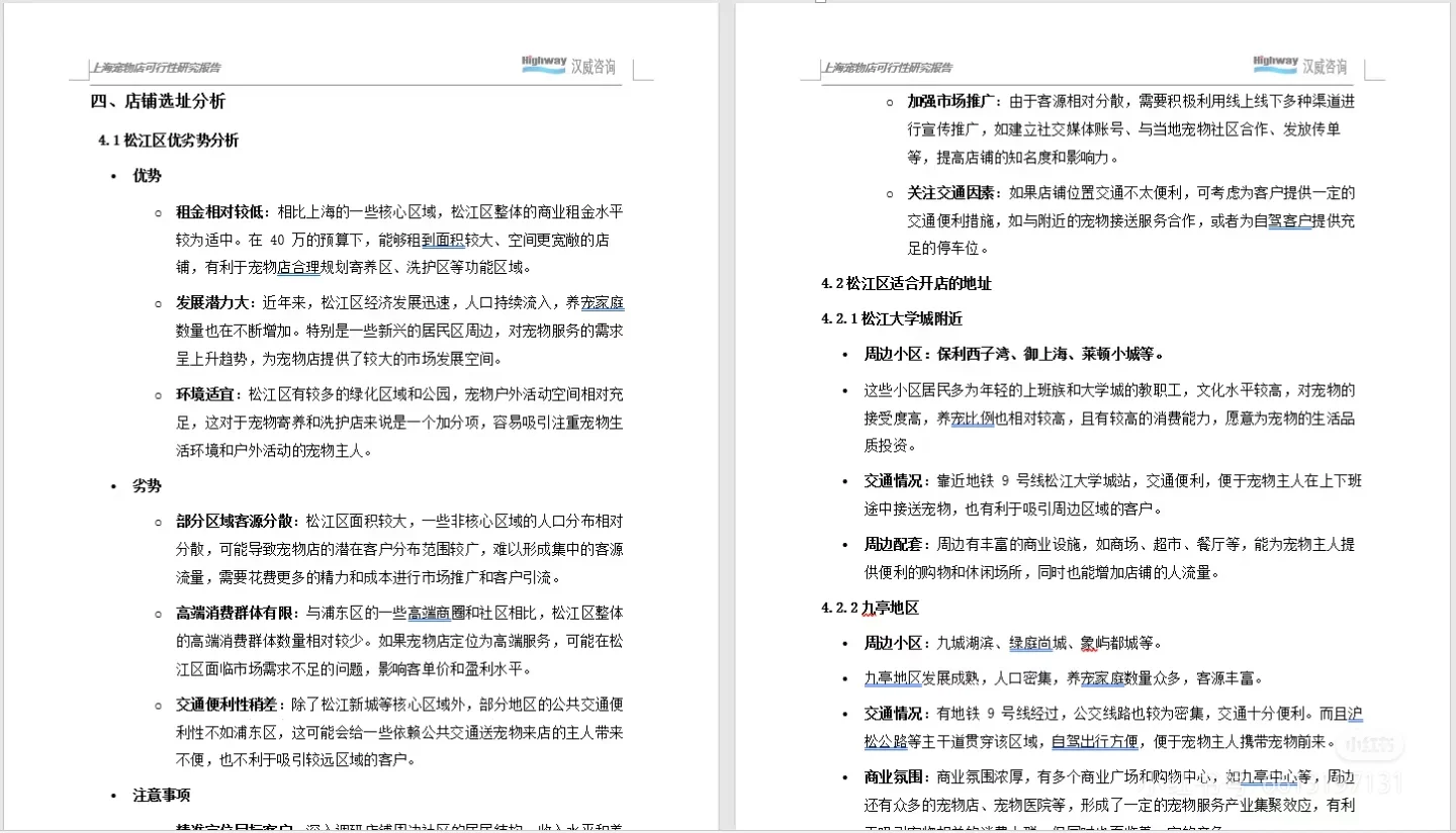 投资可行性研究报告实例