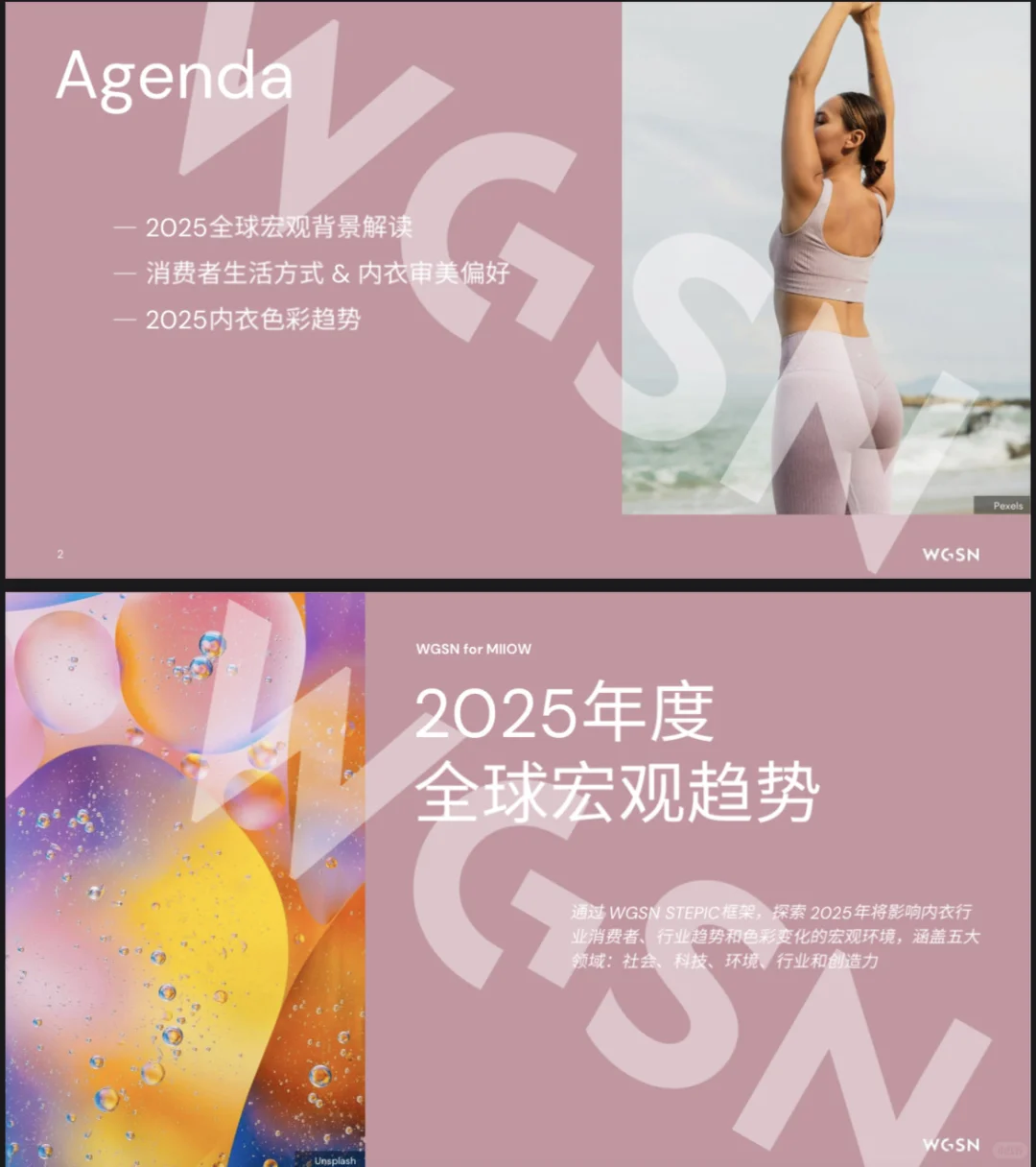 2025内衣色彩趋势报告