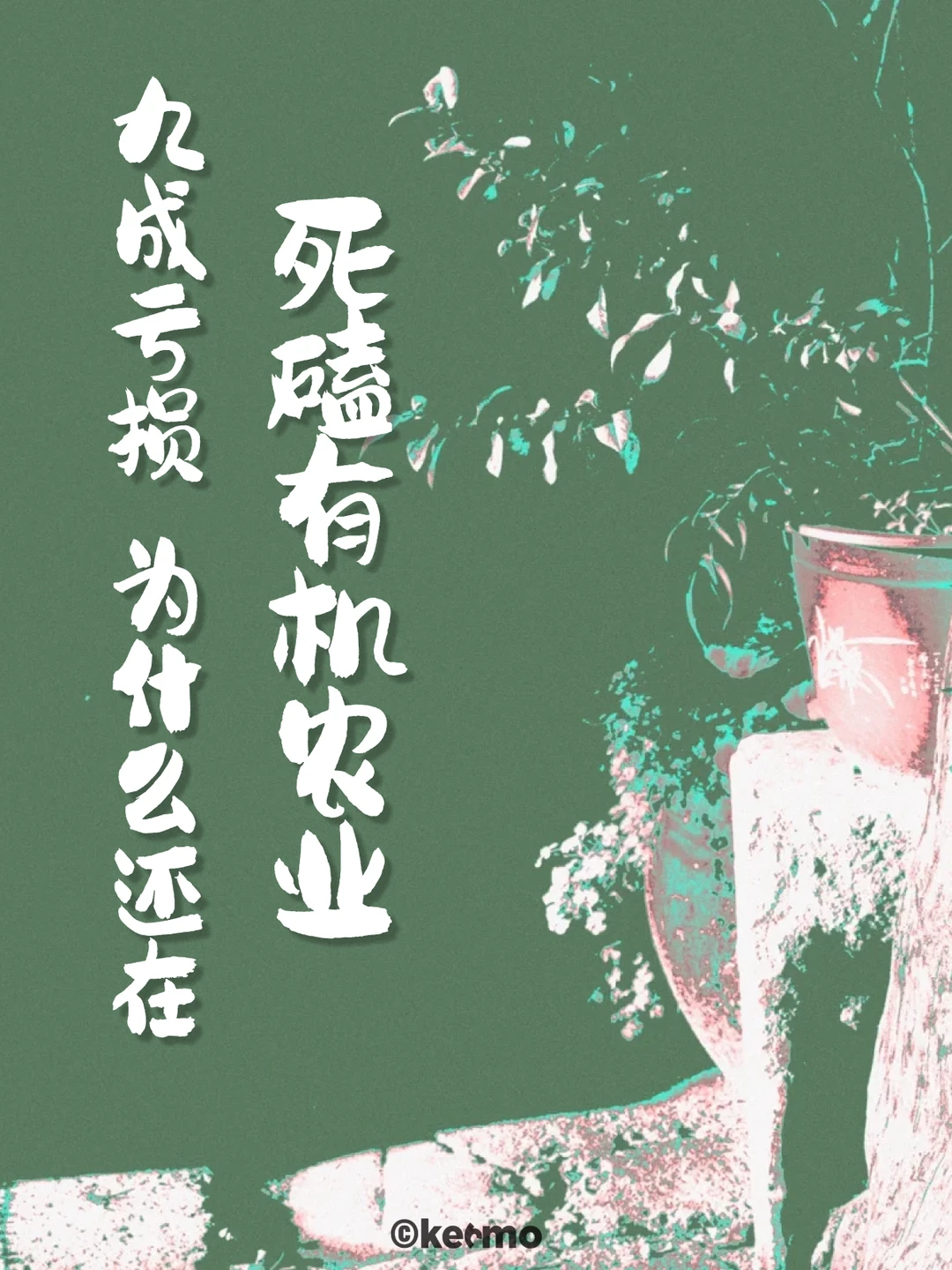 九成在亏损，为什么还在死磕有机农业？