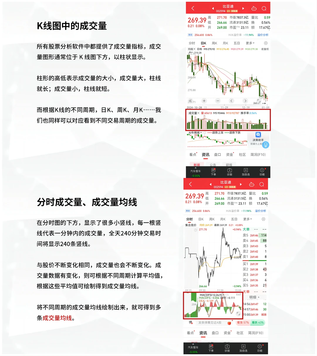 第12期：认识成交量