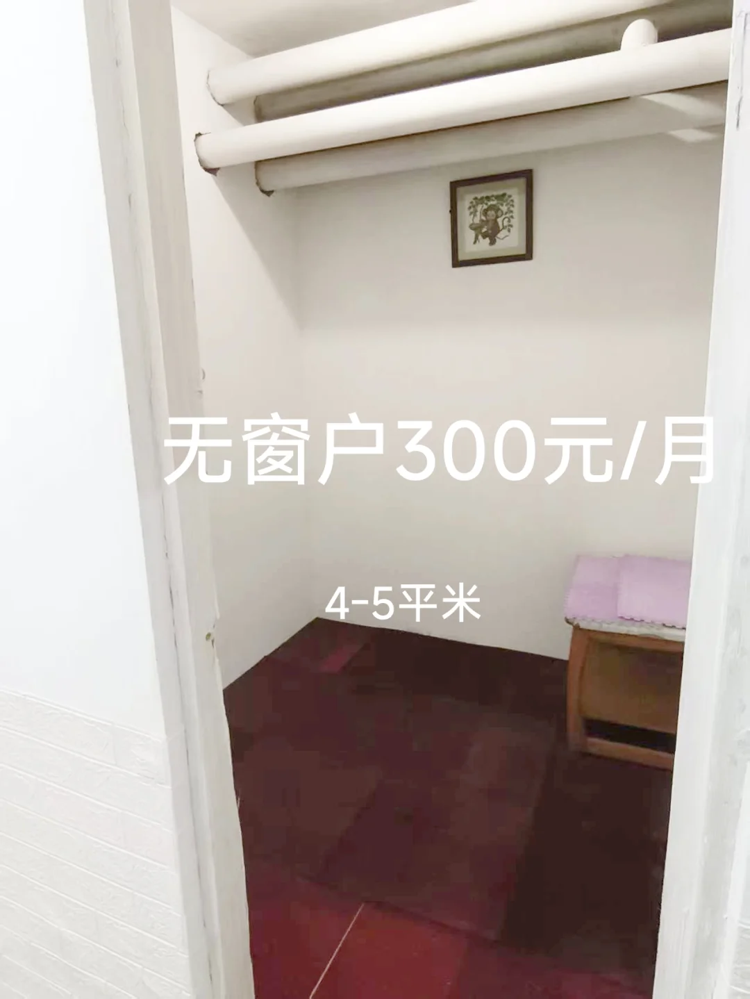 股神预测，今明两天都不赔钱