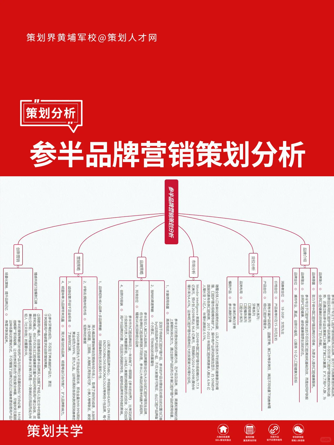 参半品牌营销策划分析
