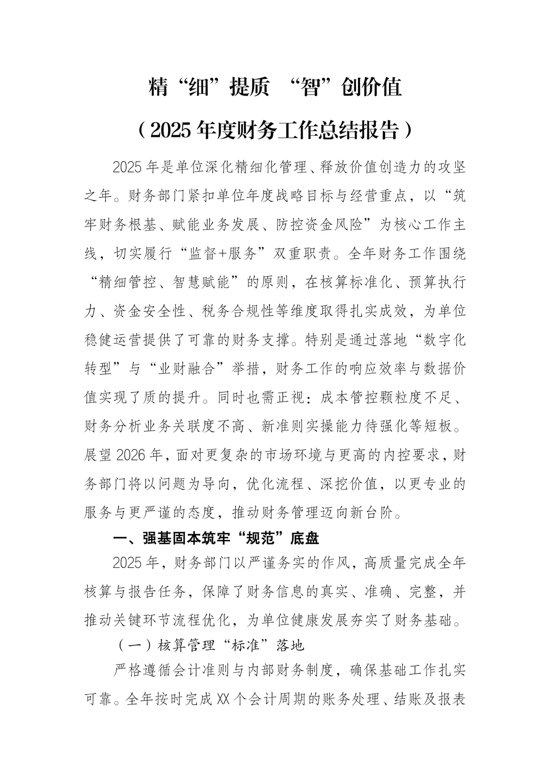 2025年财务工作总结报告