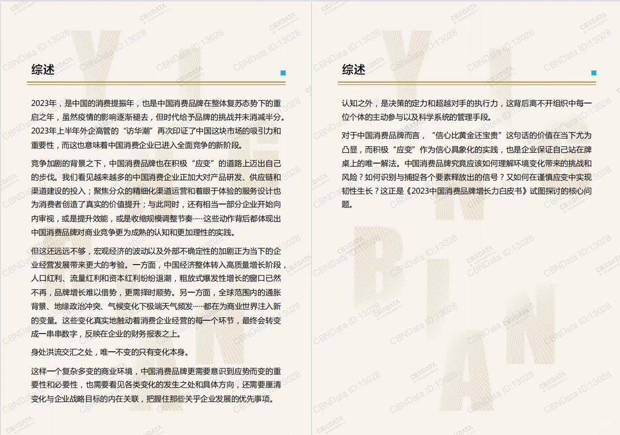 报告|主题：2023中国消费品牌增长力白皮书