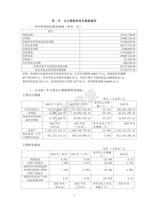 X集团股份有限公司年度报告