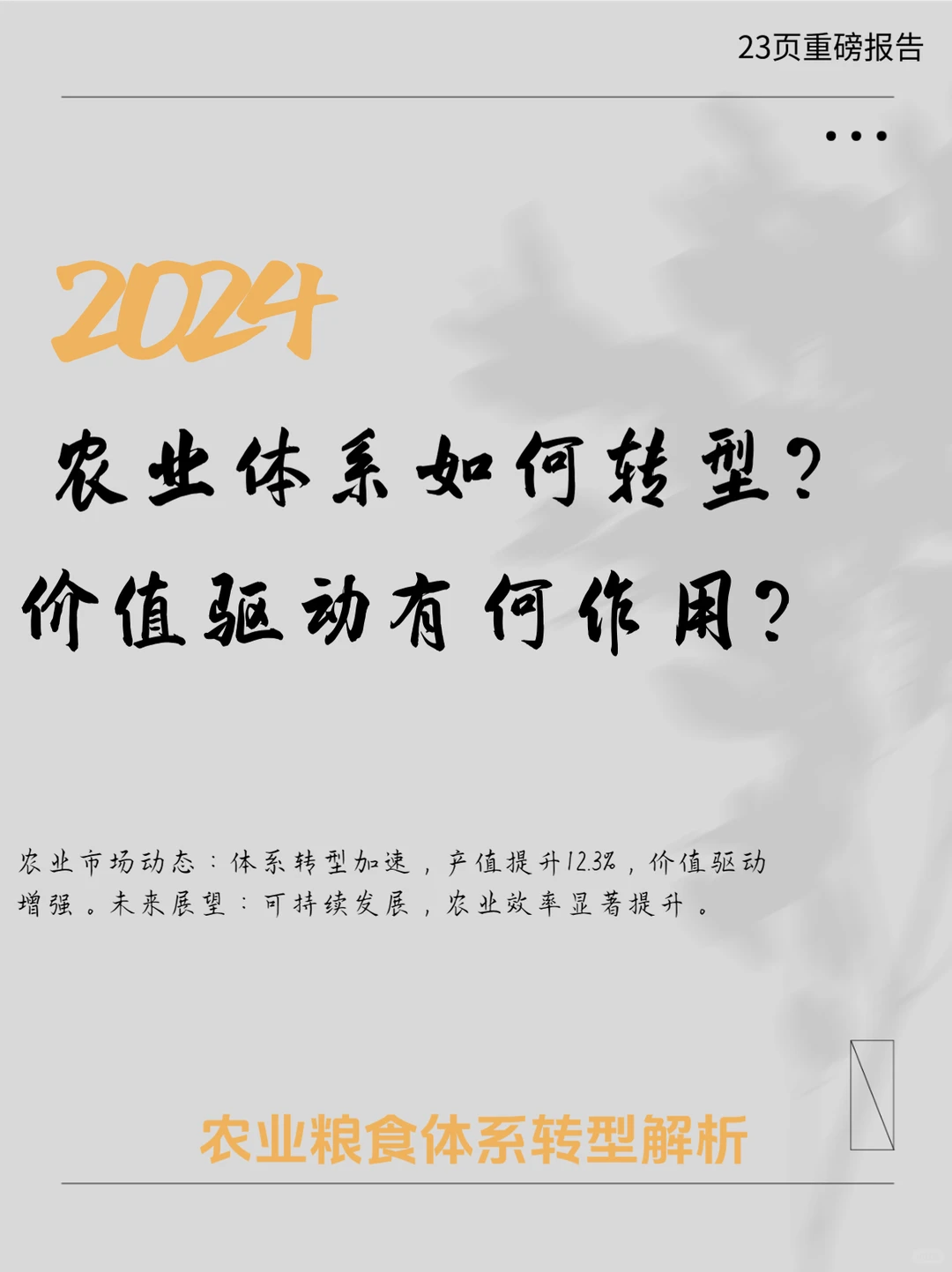 23页报告｜2024粮食及农业状况：价值驱动农
