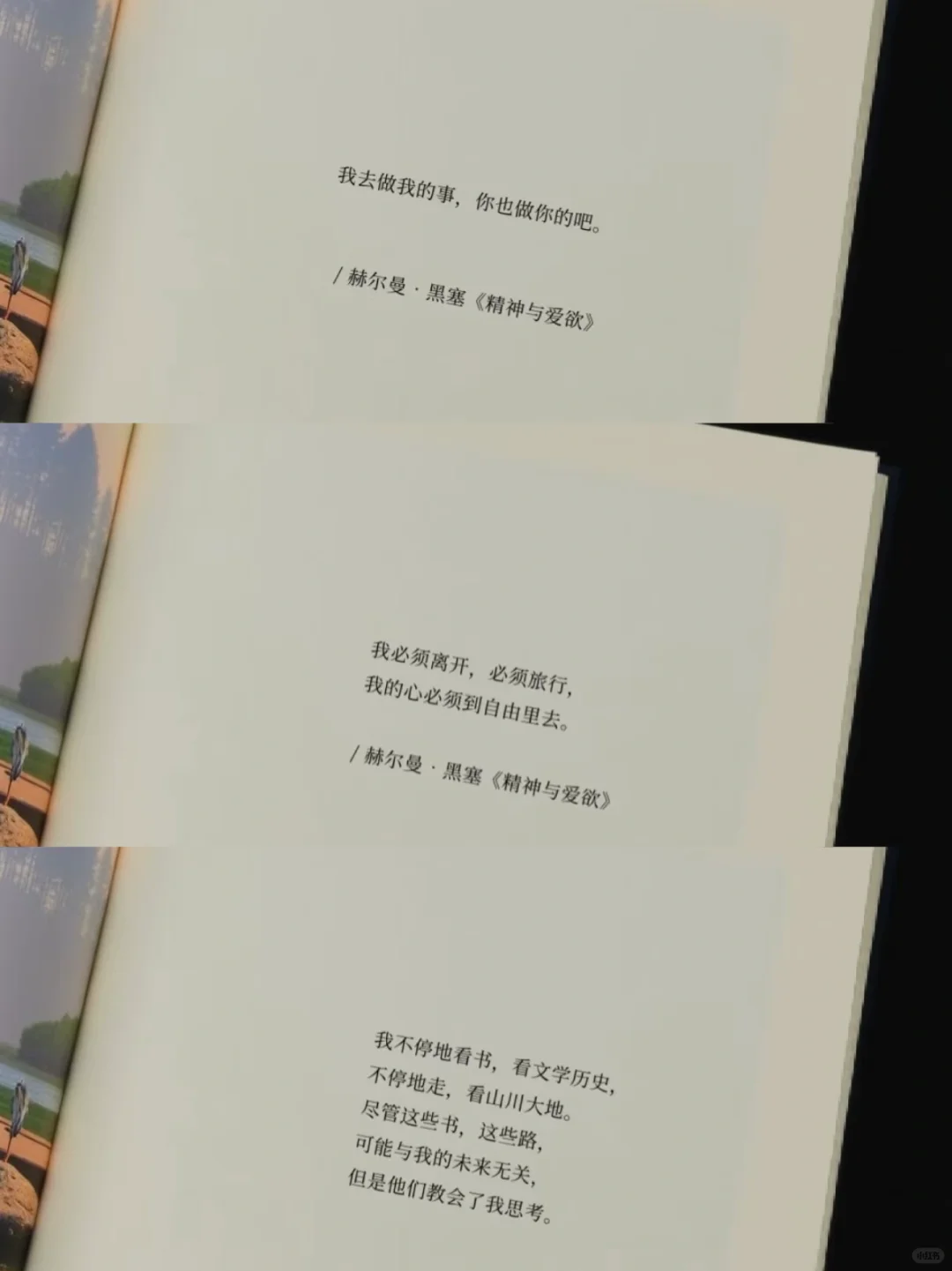 读书➕炒股 真的是我比较向往的一种生活方式