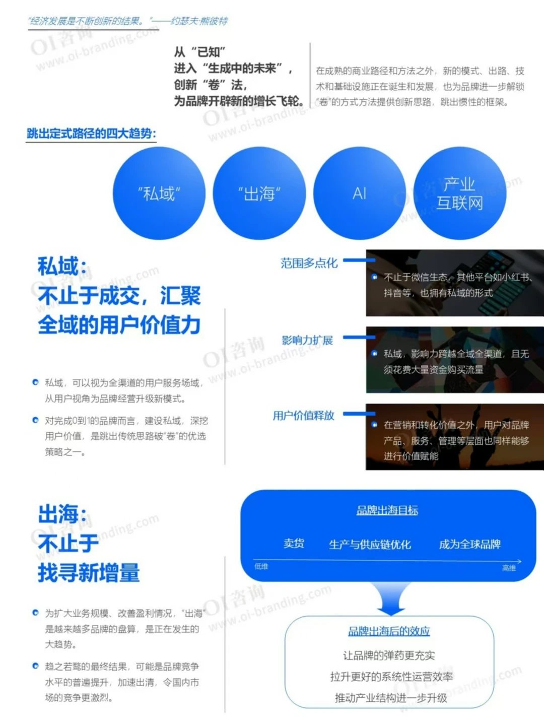 2025年度品牌战略观察报告分享
