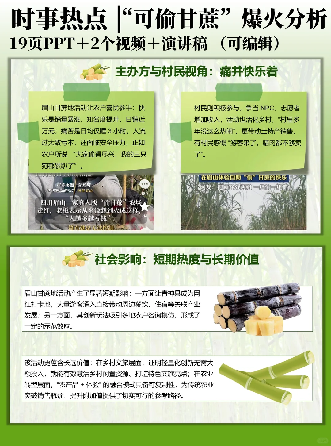 时事热点PPT：“可偷甘蔗地”爆火分析