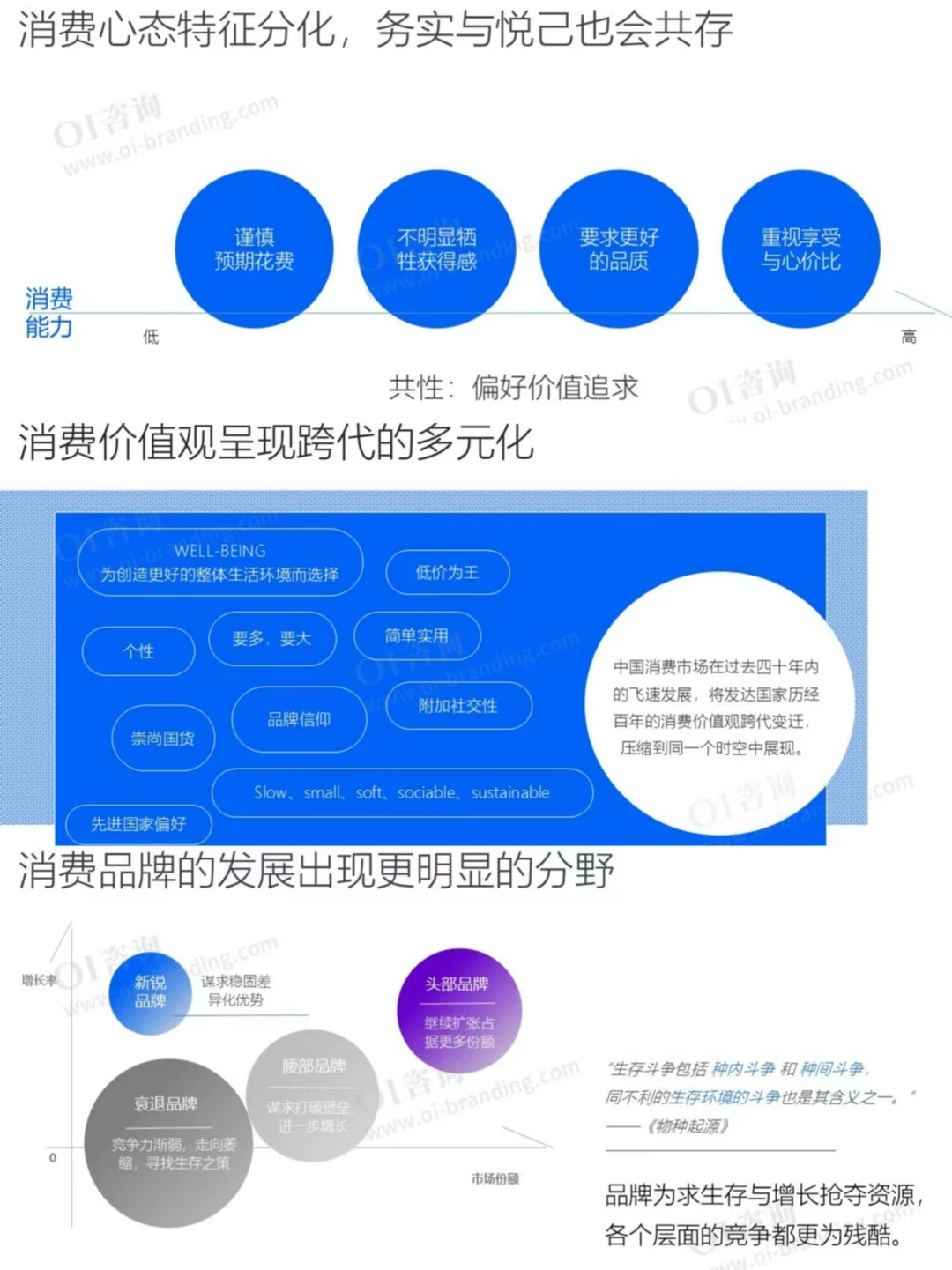2025年度品牌战略观察报告分享