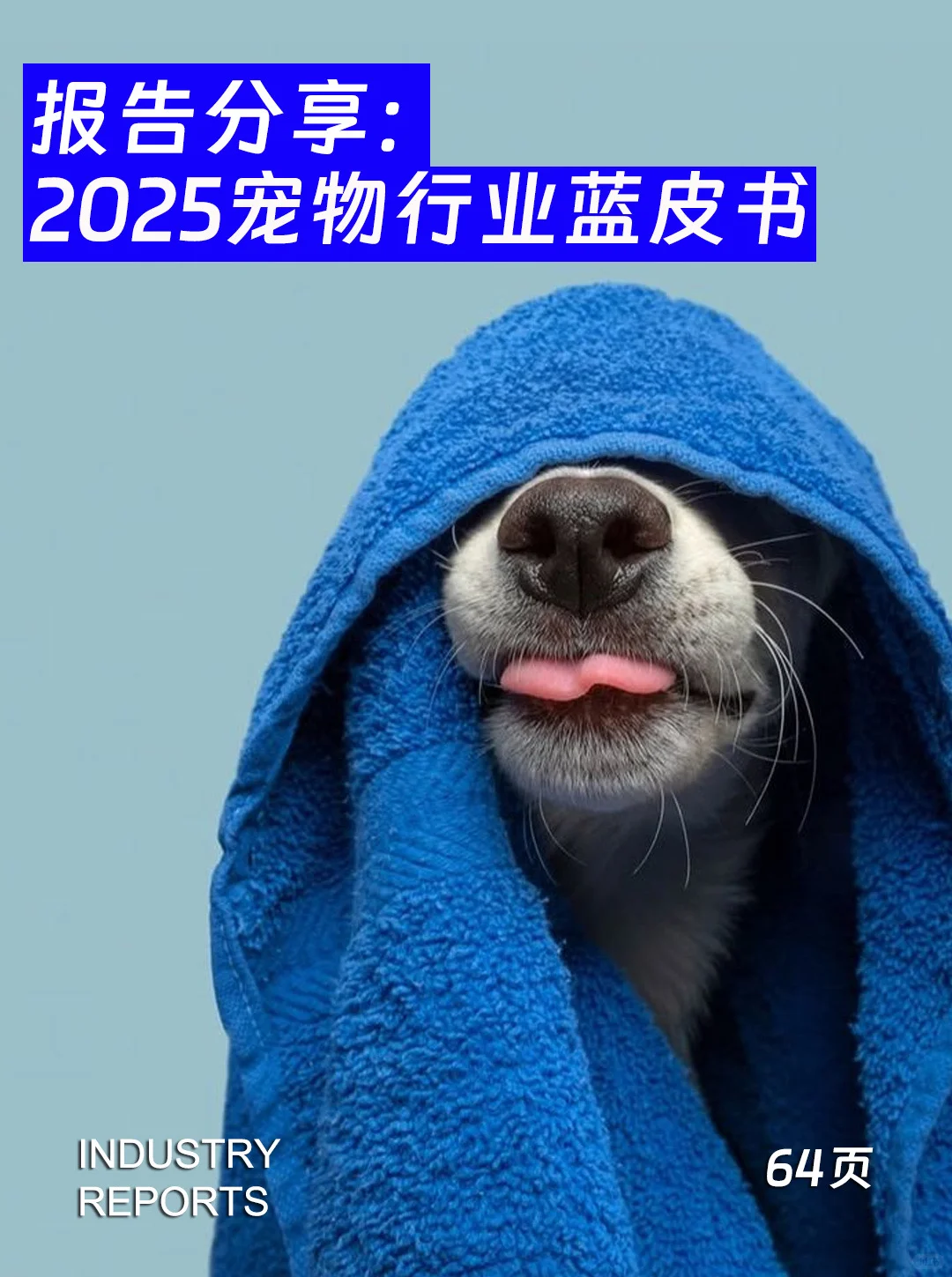 64页| 2025宠物行业蓝皮书