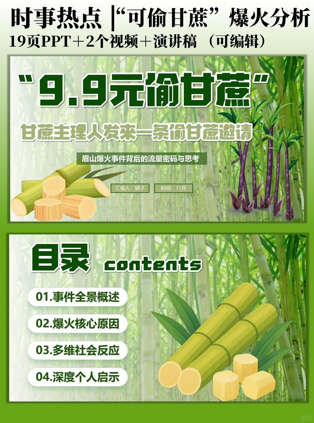 时事热点PPT：“可偷甘蔗地”爆火分析