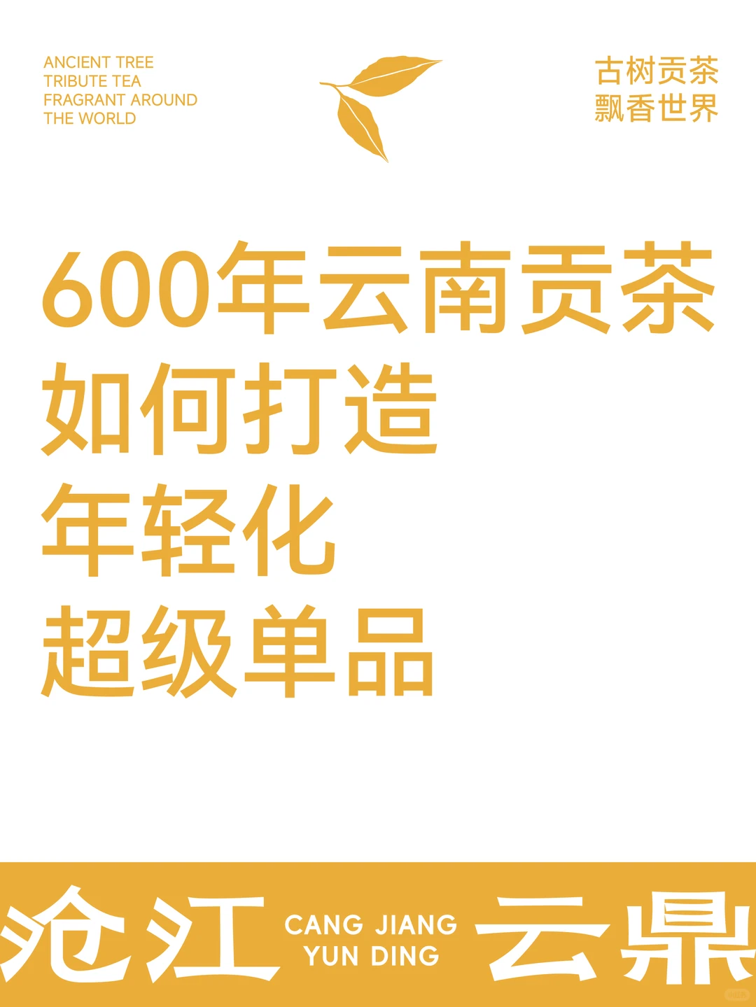 沧江云鼎品牌案例｜如何打造年轻化超级单品