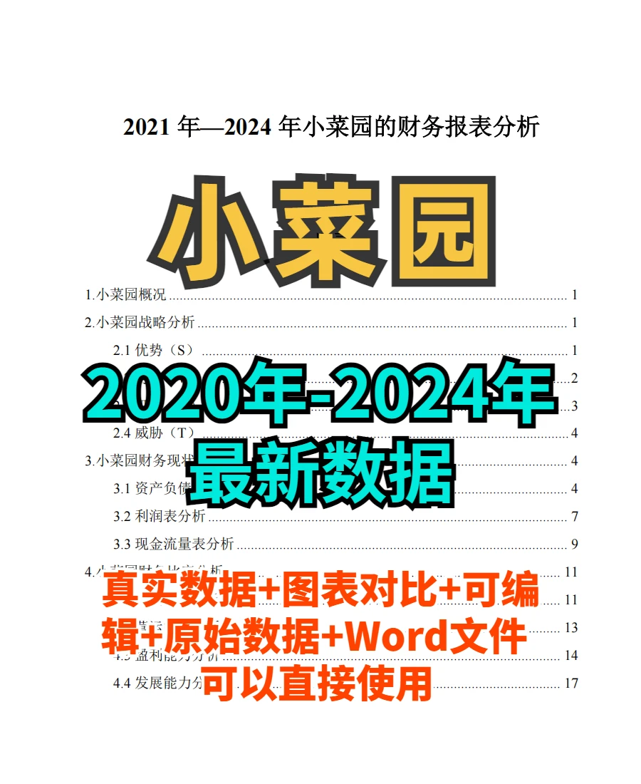 小菜园财务分析报告