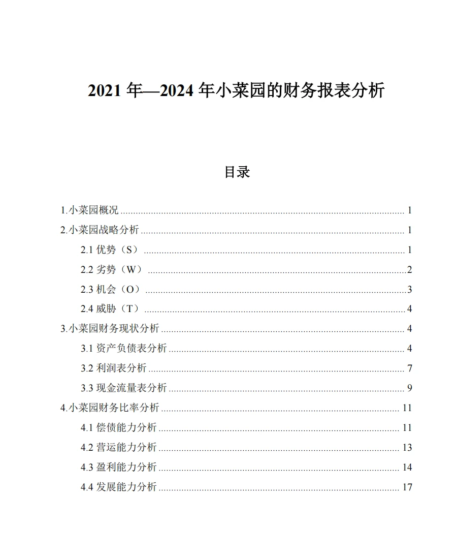 小菜园财务分析报告