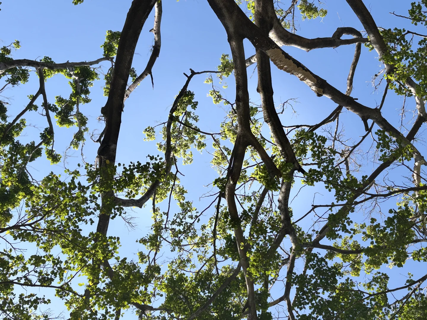 警惕！你的指数基金正在高位接盘