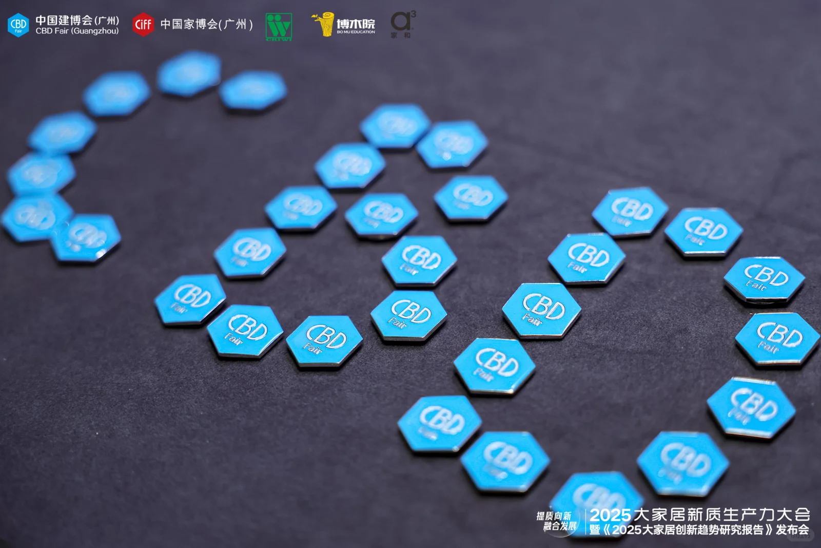2025 大家居创新趋势研究报告