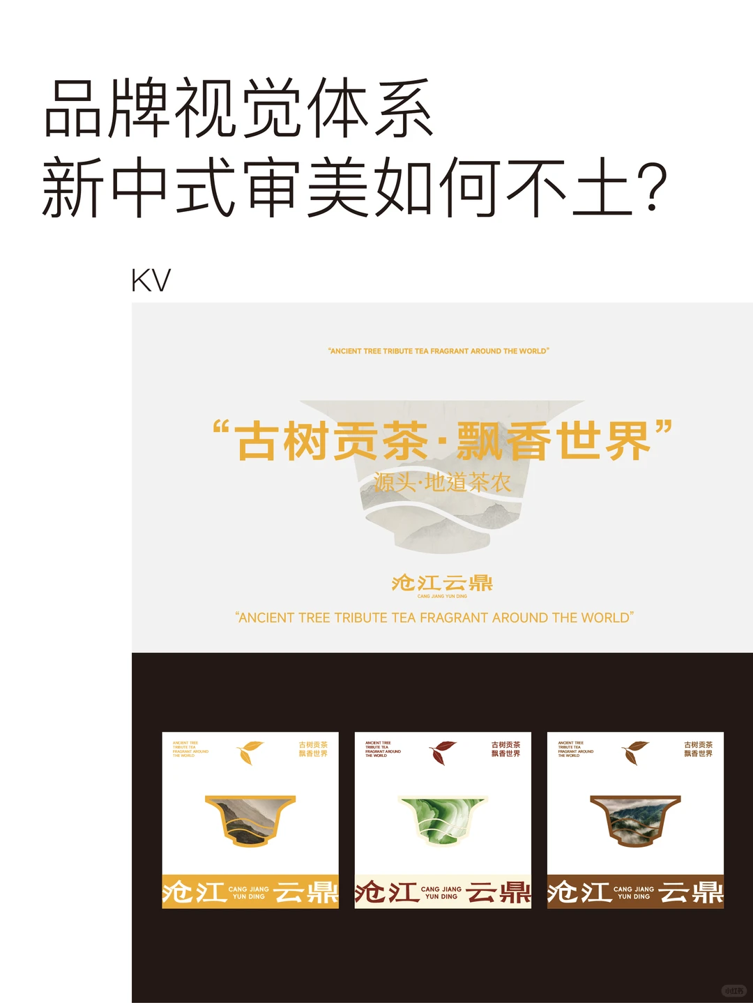 沧江云鼎品牌案例｜如何打造年轻化超级单品