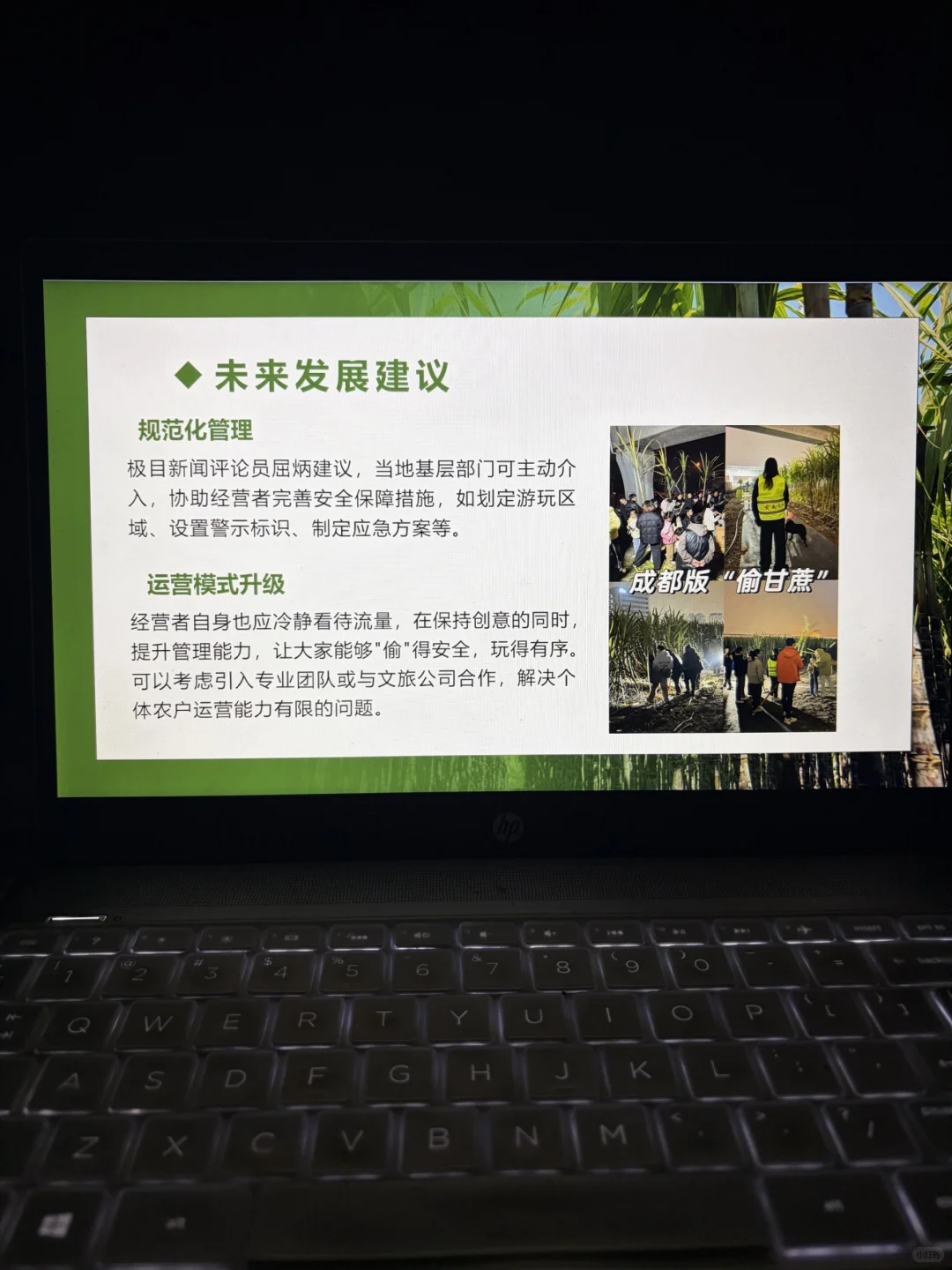 可偷甘蔗地爆火事件ppt，时事热点