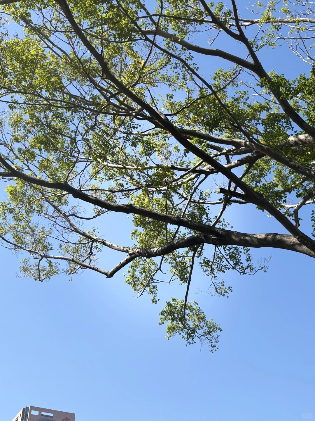 警惕！你的指数基金正在高位接盘