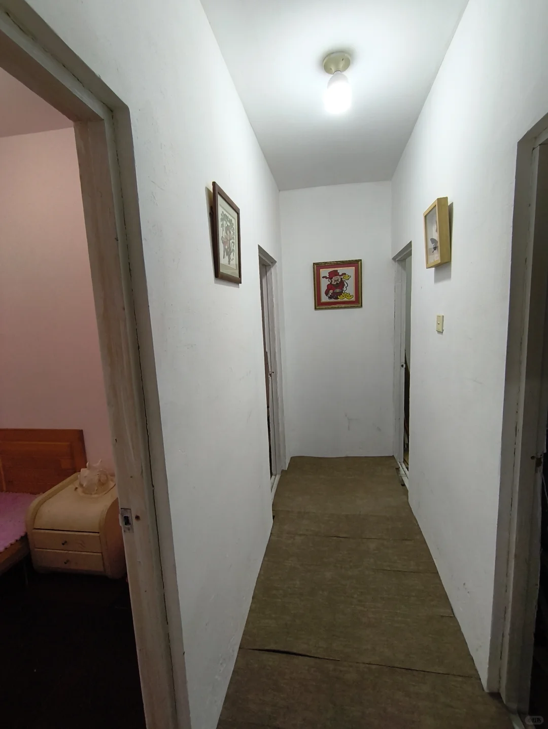 股神预测，今明两天都不赔钱