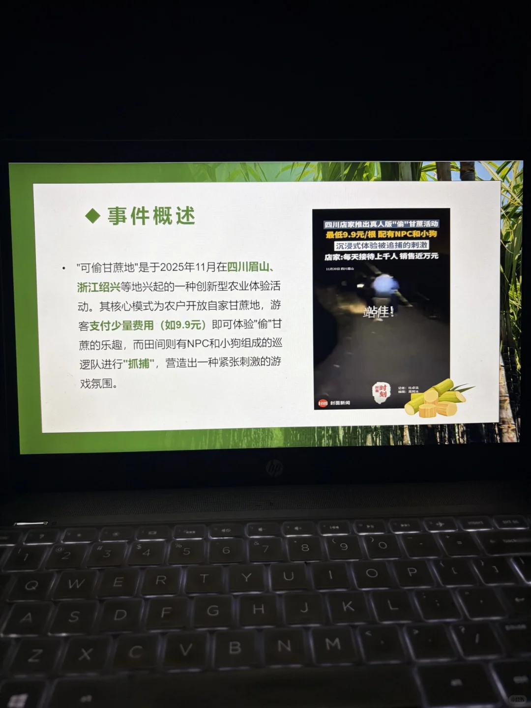 可偷甘蔗地爆火事件ppt，时事热点