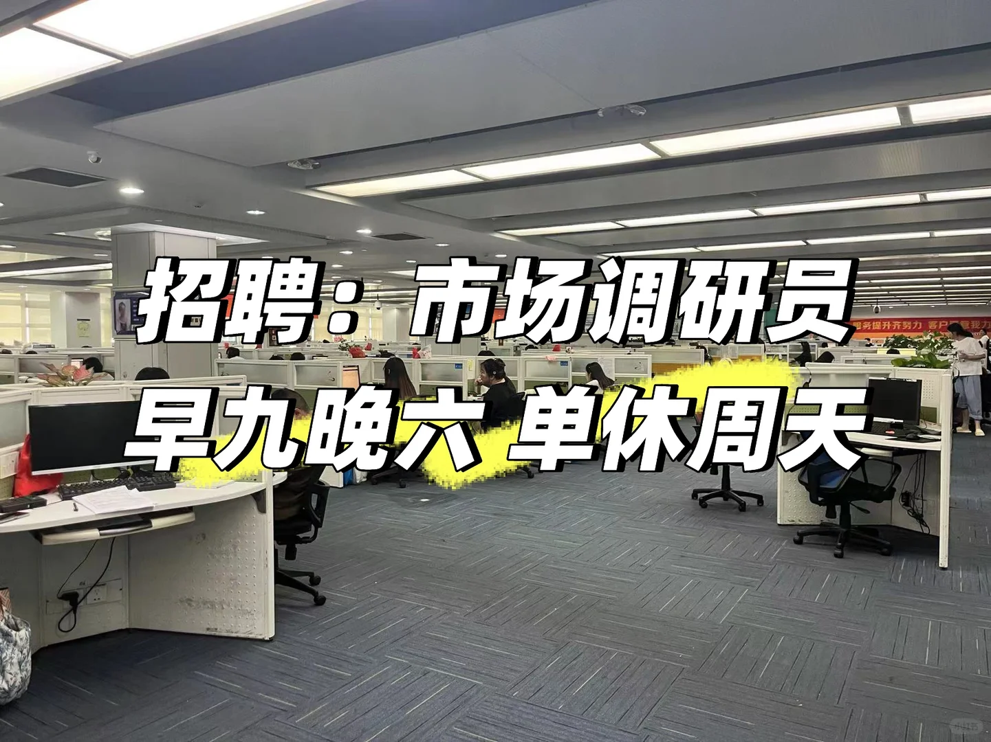 招聘 市场调研专员 15人