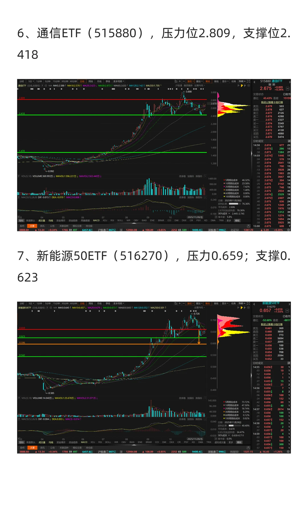 12月市场展望（2025年）