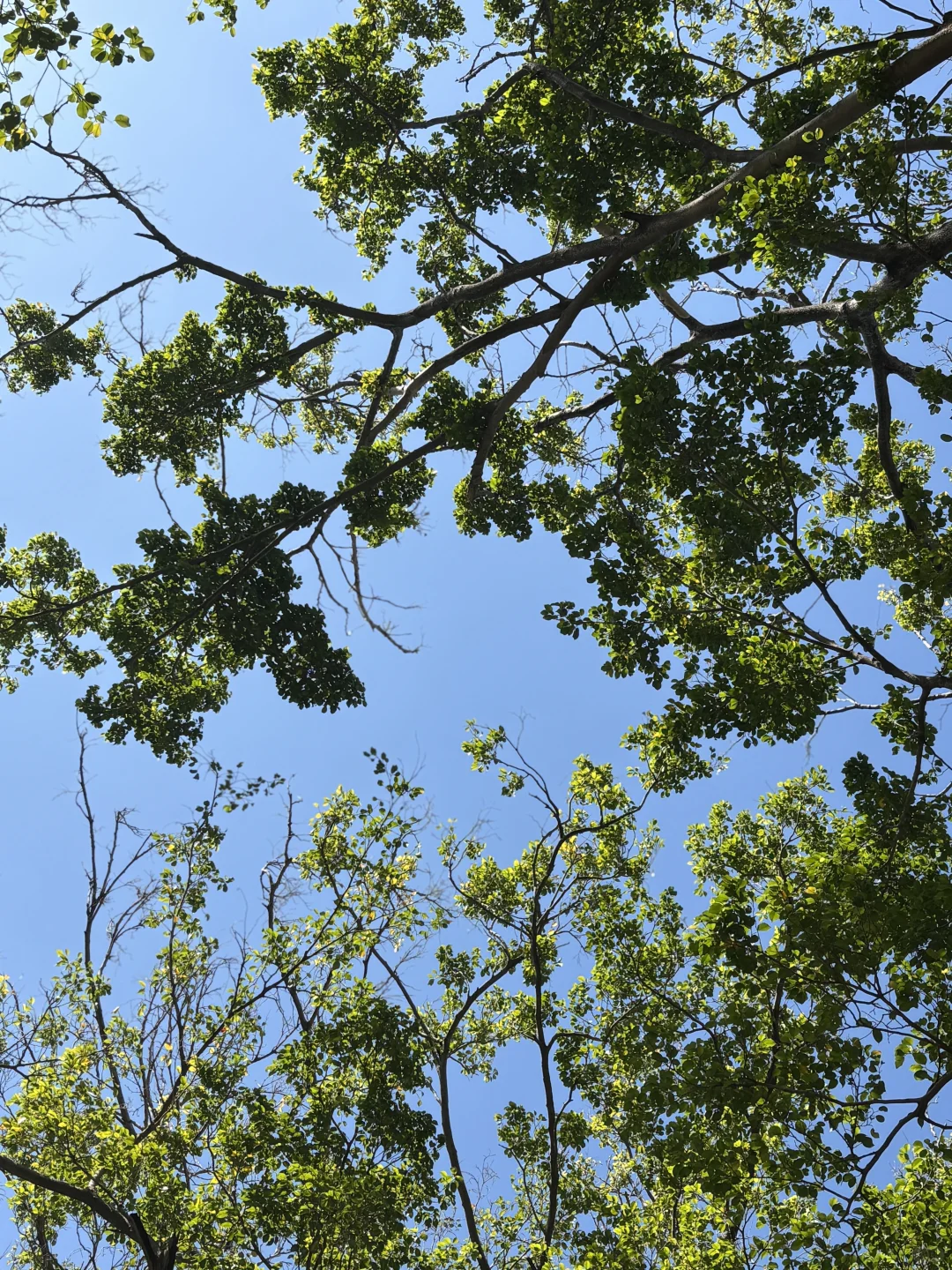 警惕！你的指数基金正在高位接盘