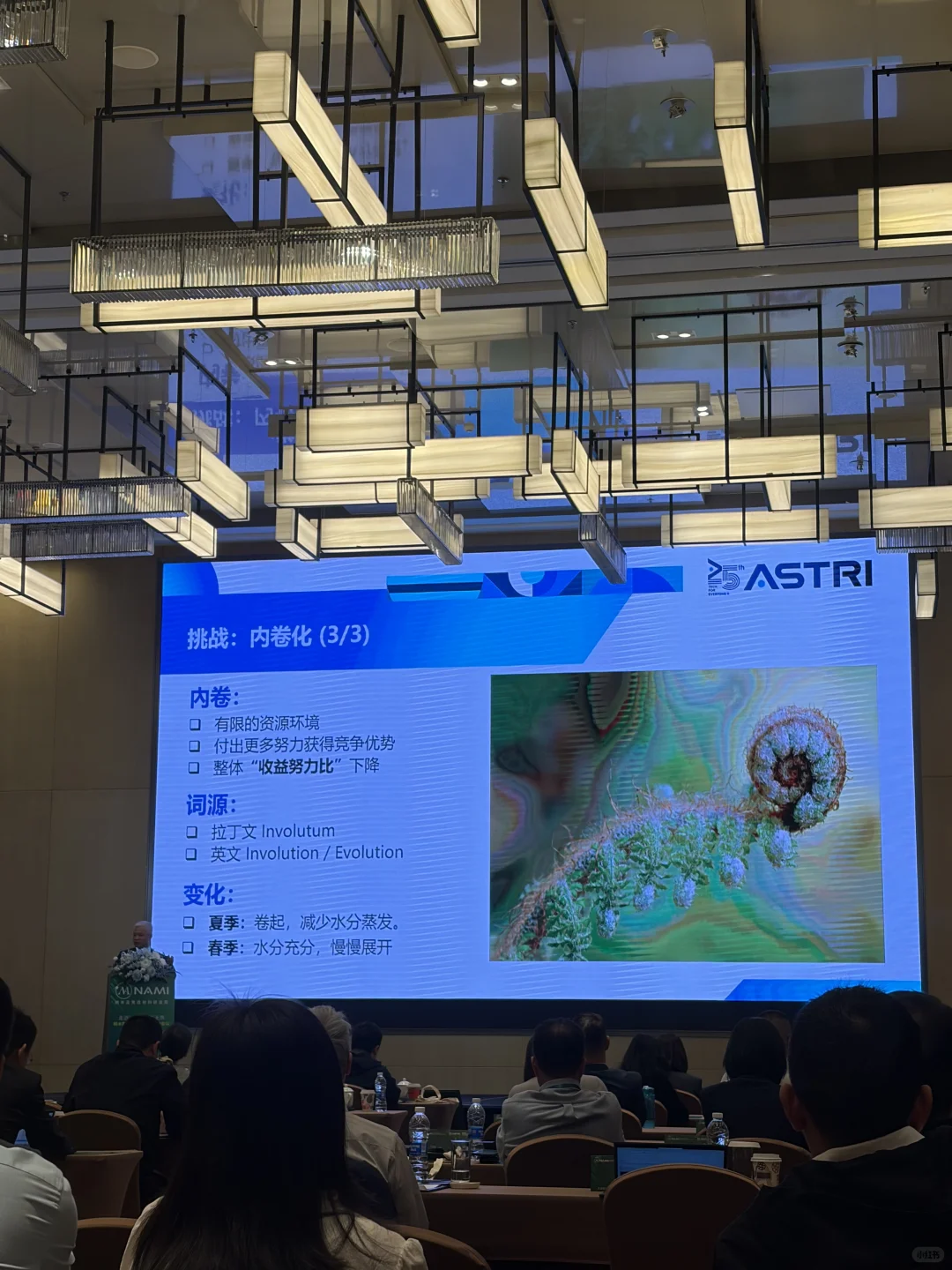近期参加的高质量活动，如何在内卷下破局