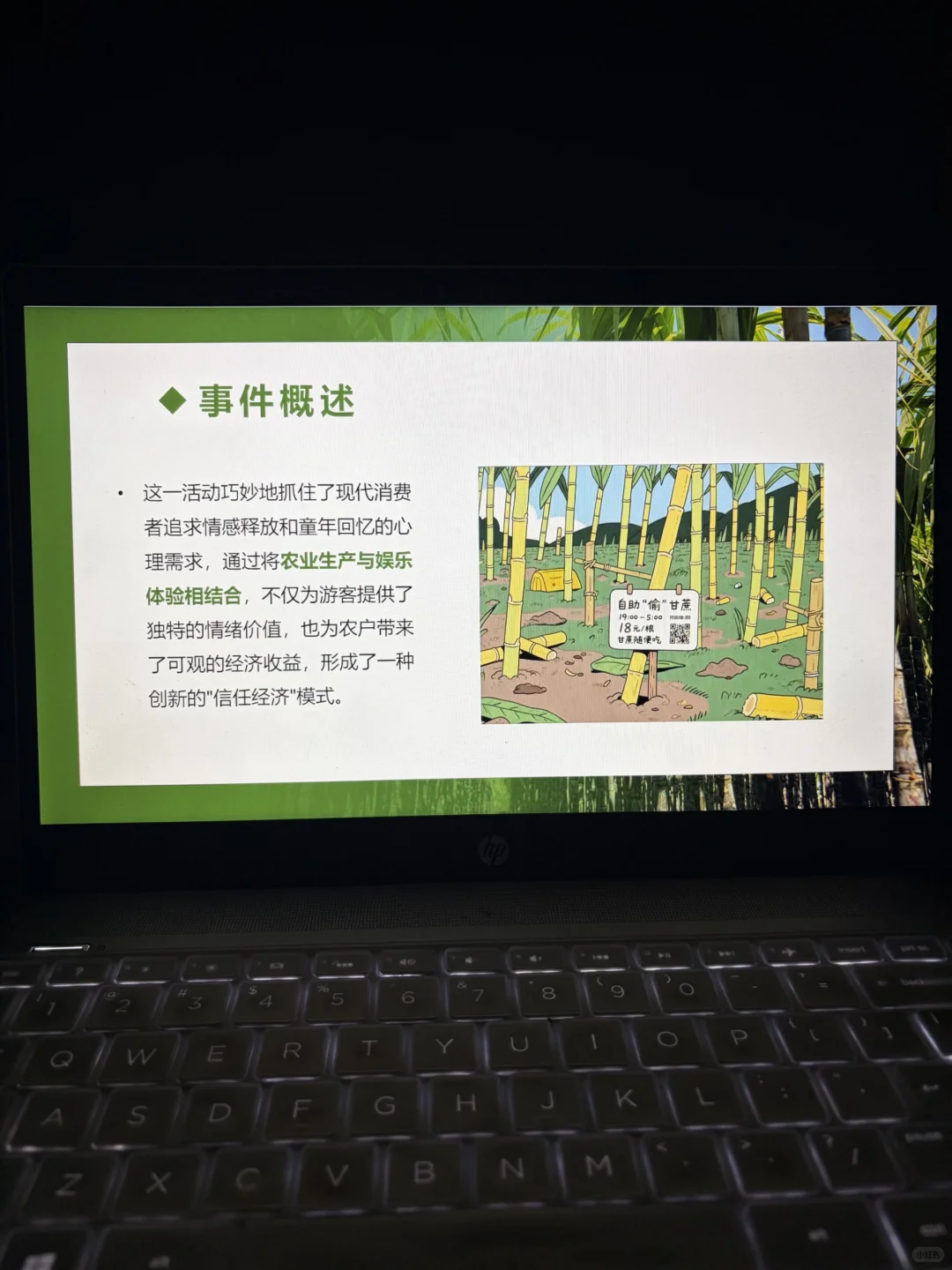 可偷甘蔗地爆火事件ppt，时事热点