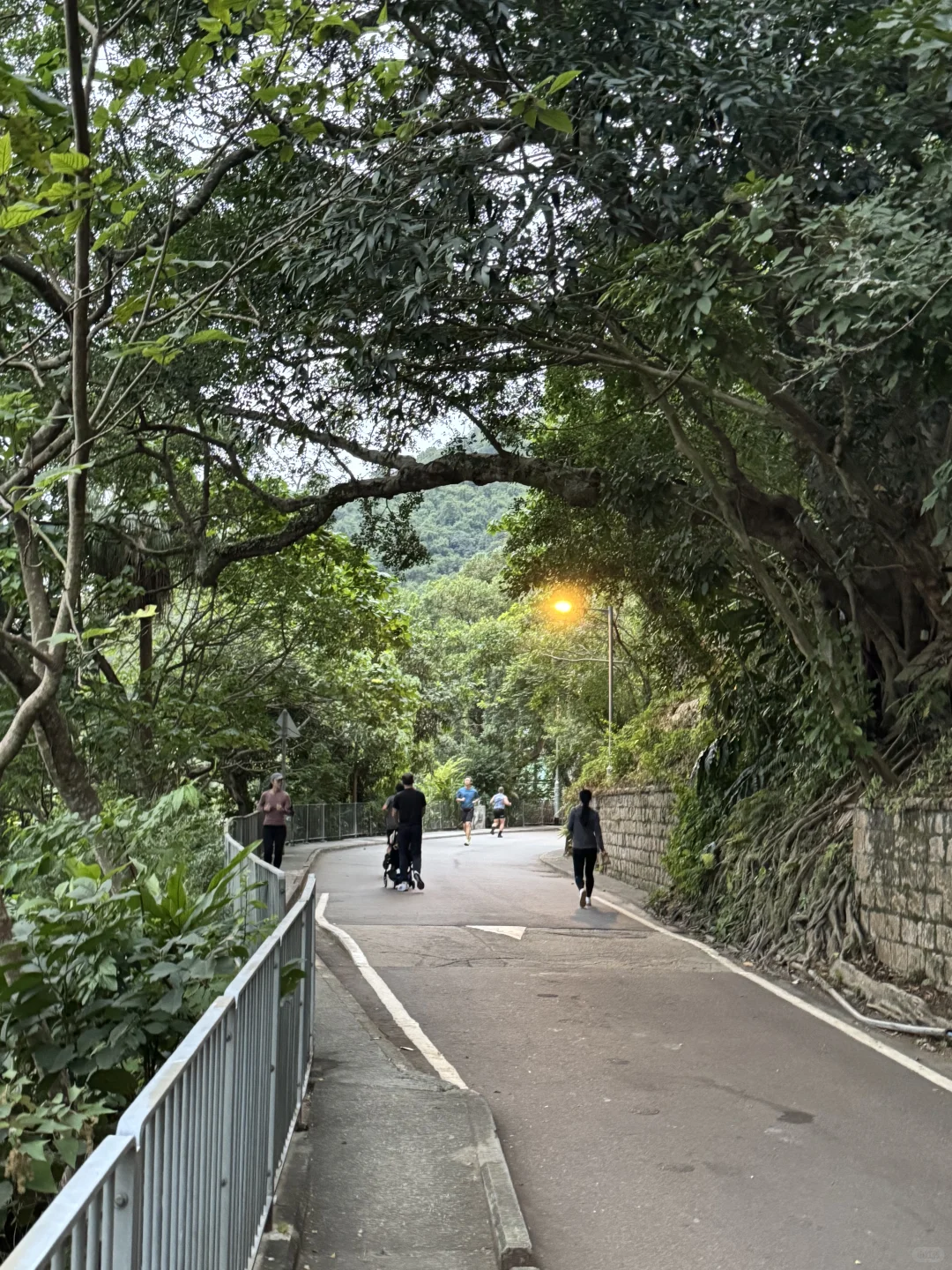 十一月的最后一个周末