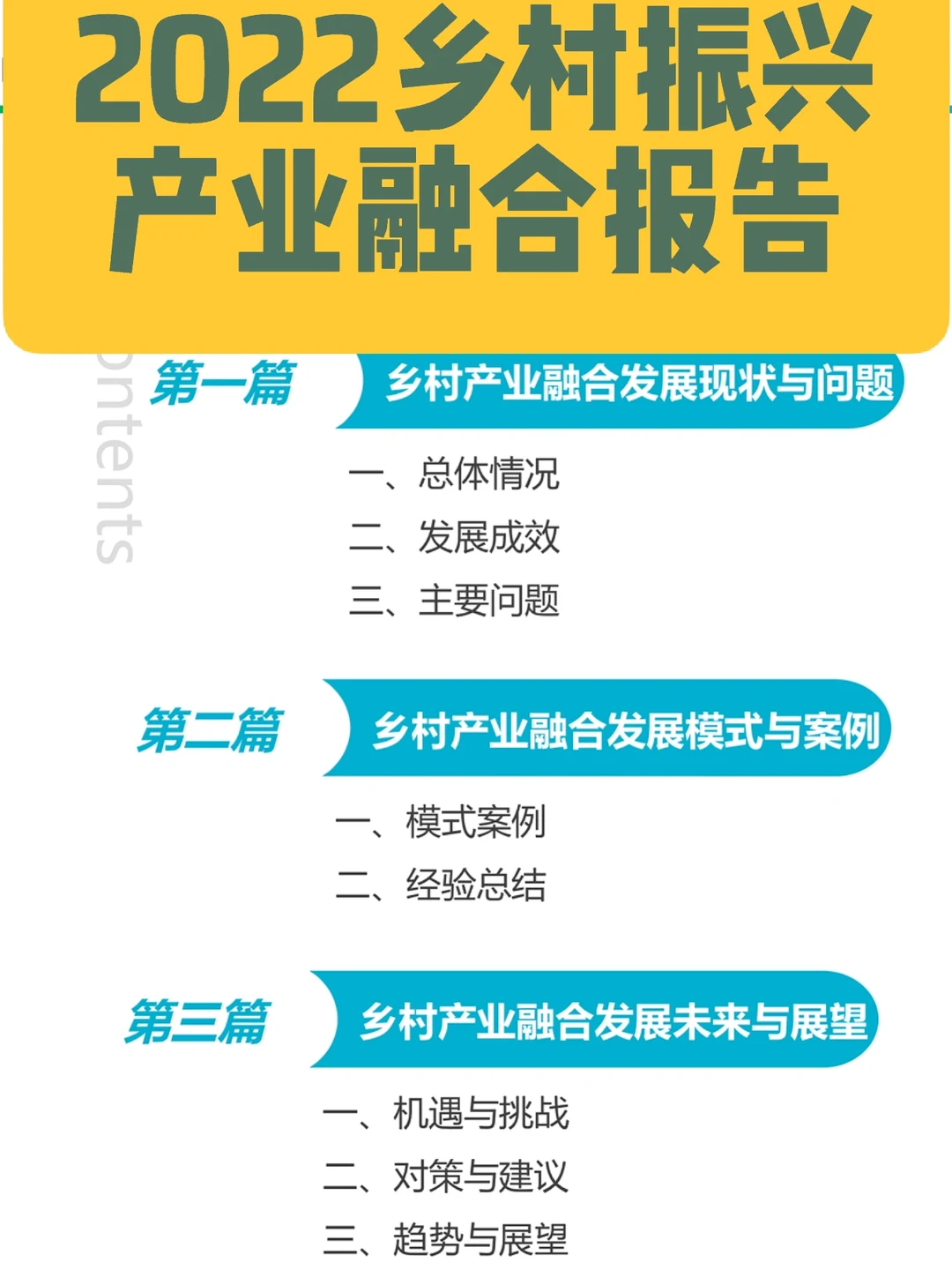 2022年，我国乡村振兴产业融合发展报告