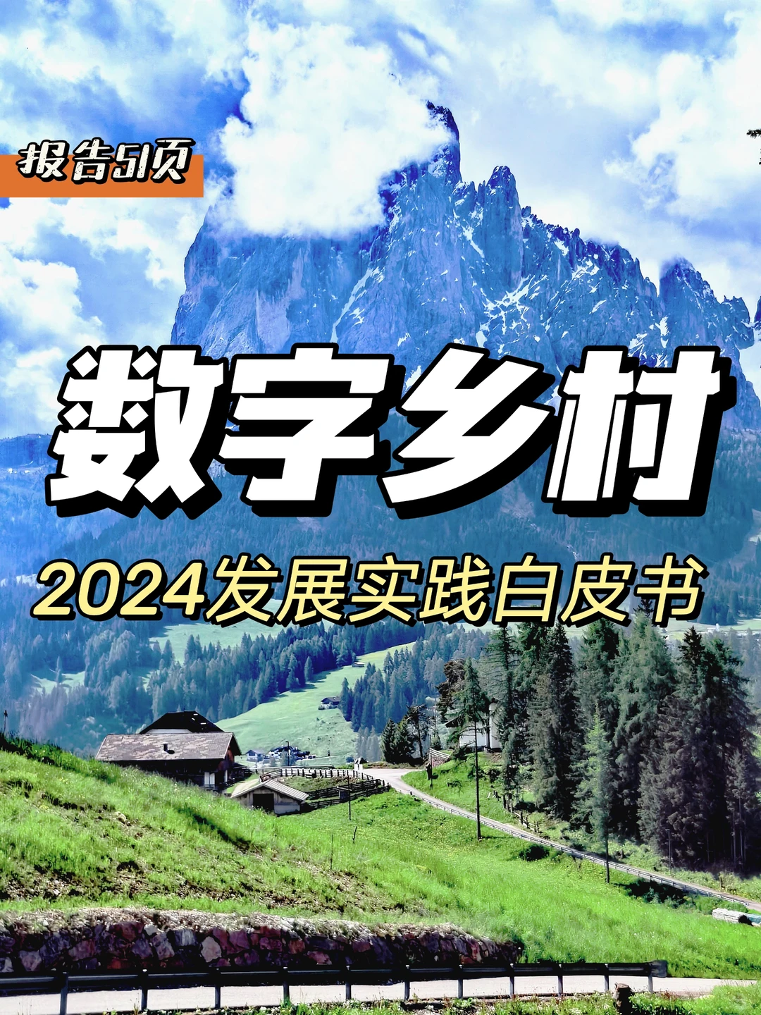 每日分享行业报告：数字乡村发展实践白皮书