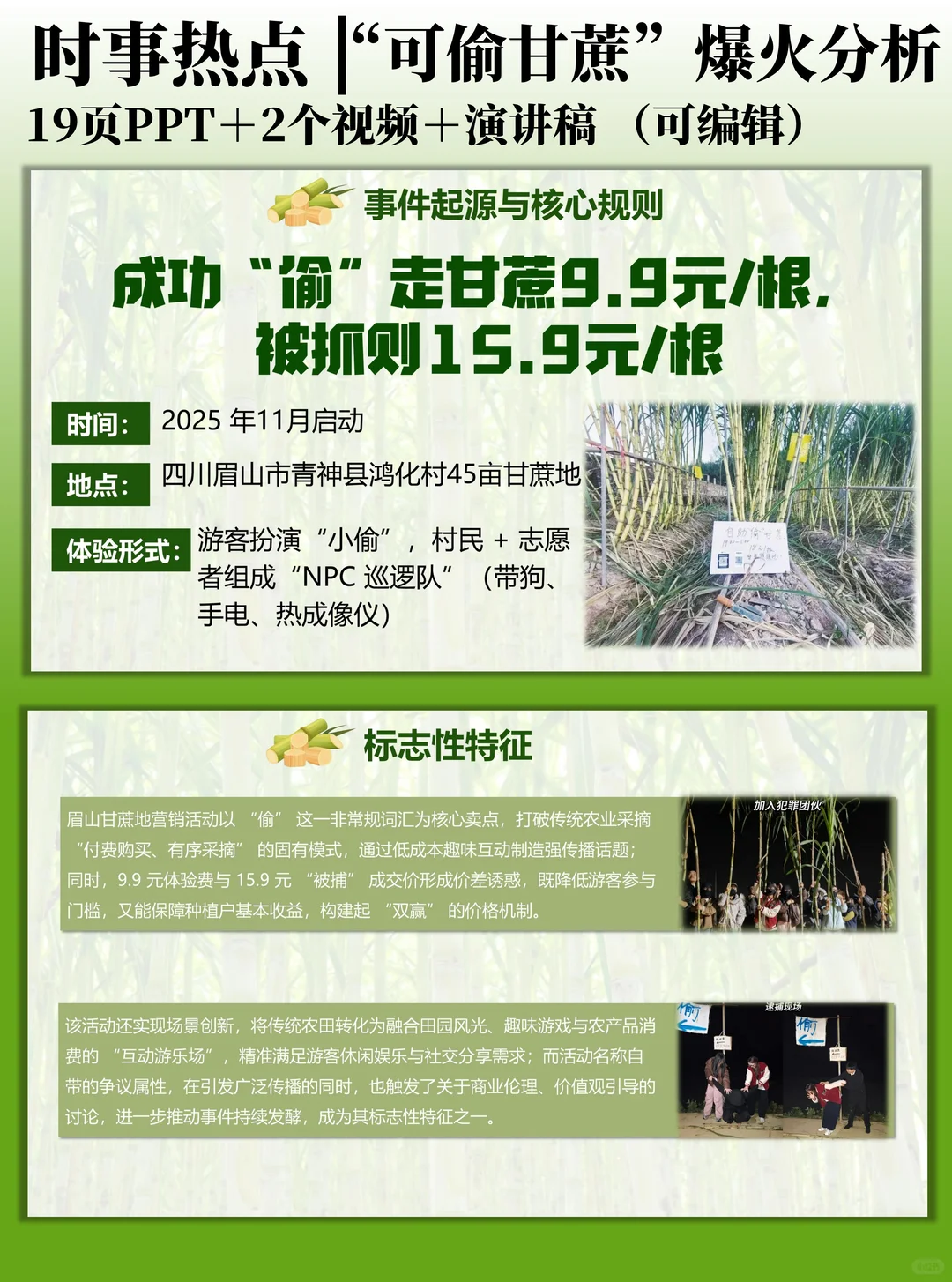 时事热点PPT：“可偷甘蔗地”爆火分析