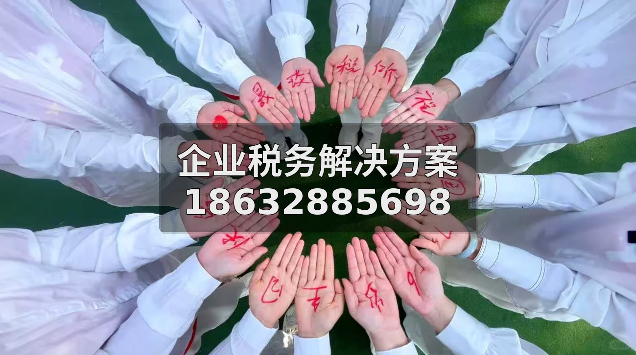 晟琰税所:一站式税务全生命周期管理,...