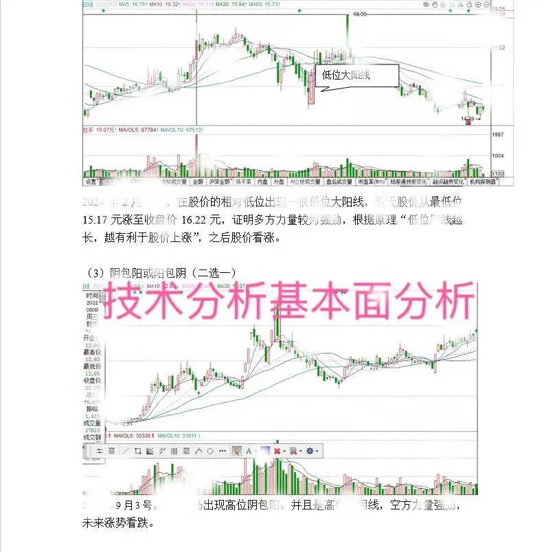 大学生 证券投资分析报告 作业解析