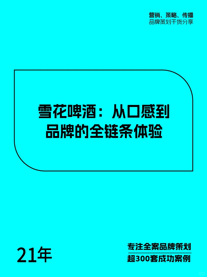 成为消费者记忆中的选择,全案品牌策划