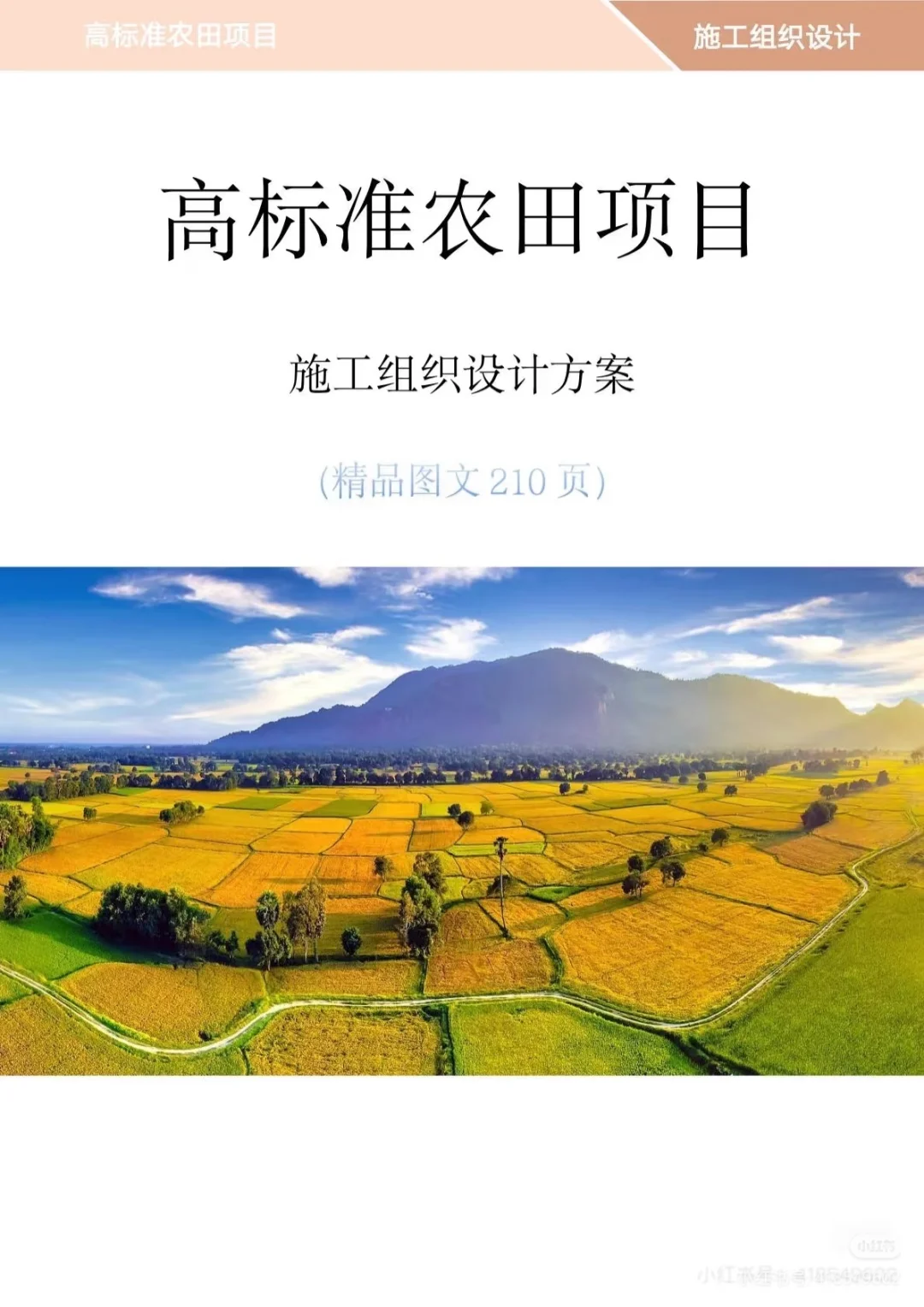 高标准农田项目投标方案