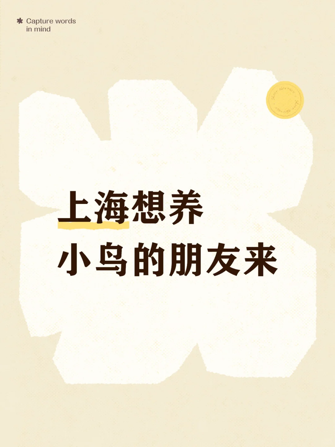 调研市场需求