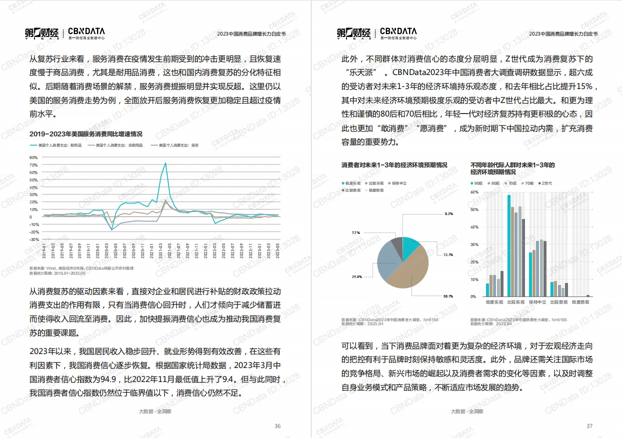 报告|主题：2023中国消费品牌增长力白皮书