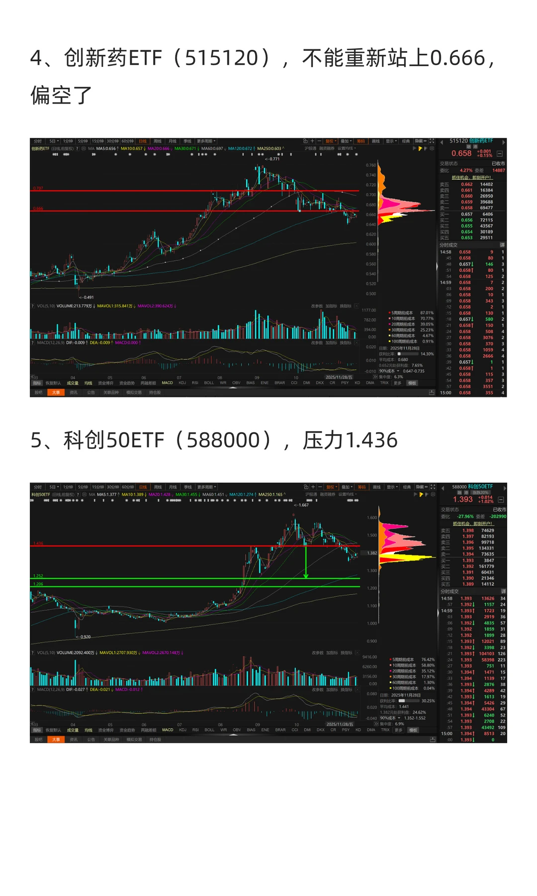 12月市场展望（2025年）