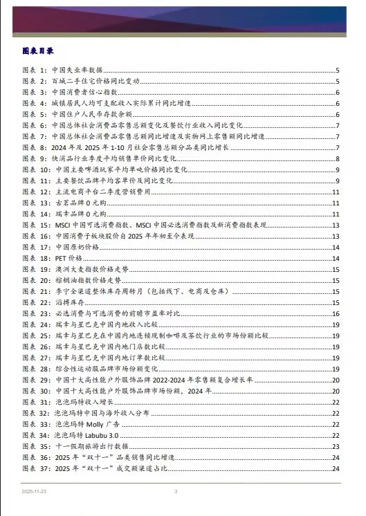 50页报告 |【浦银国际】消费行业2026年展望：