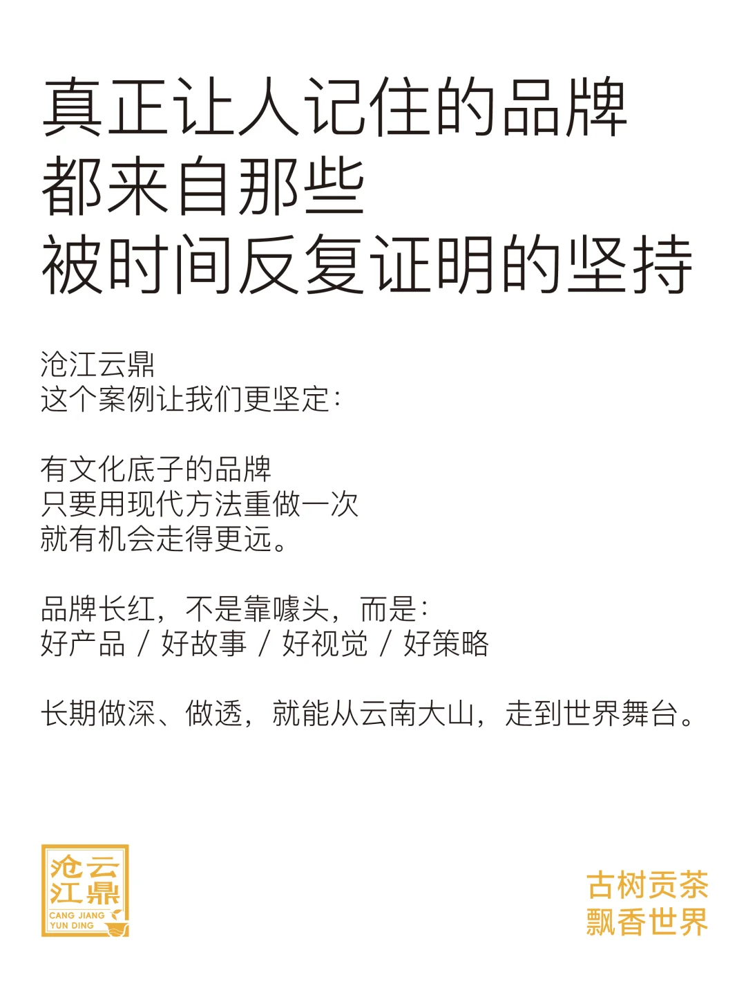 沧江云鼎品牌案例｜如何打造年轻化超级单品