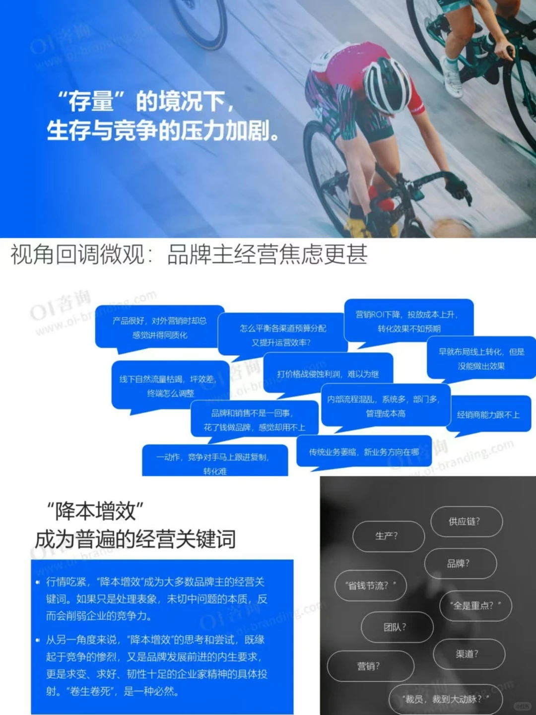 2025年度品牌战略观察报告分享